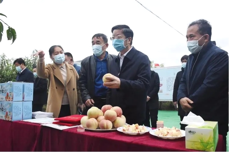 钱三雄视察平乡桃基地.jpg