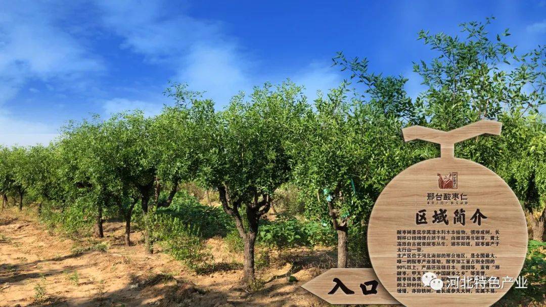 微信图片_20211129160022.jpg 微信图片_20211129160022.jpg