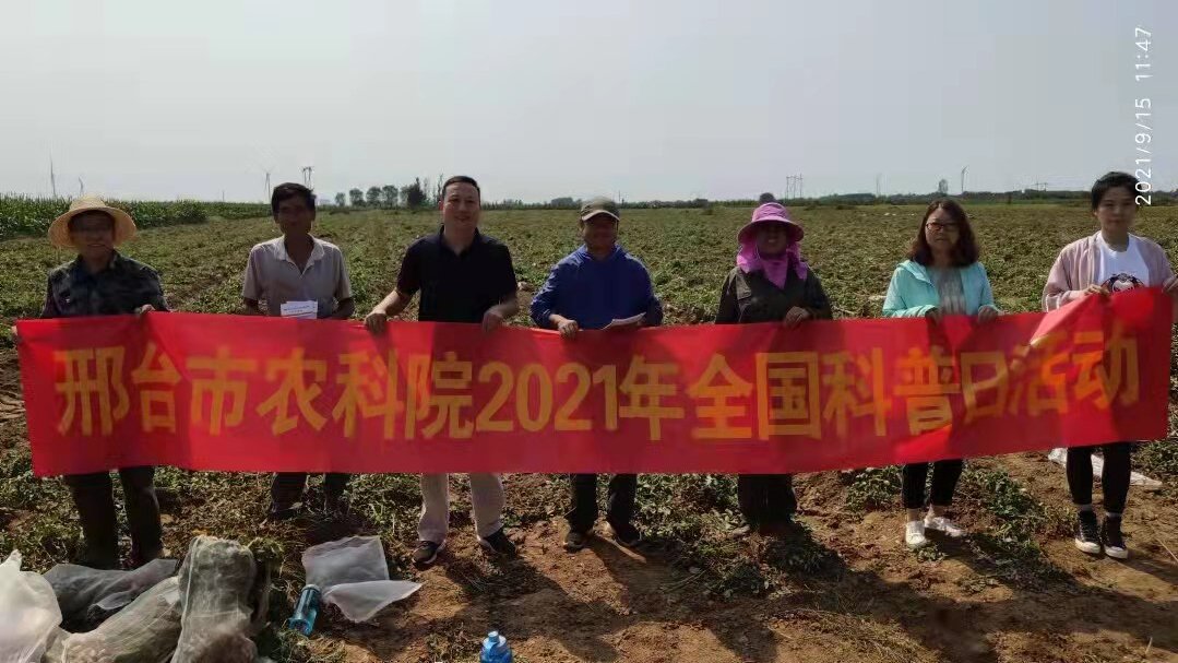 图片1.jpg 图片1.jpg