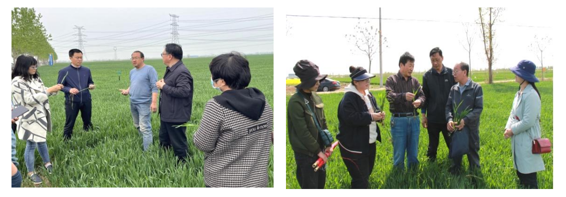 Snipaste_2022-05-19_08-57-34.png Snipaste_2022-05-19_08-57-34.png