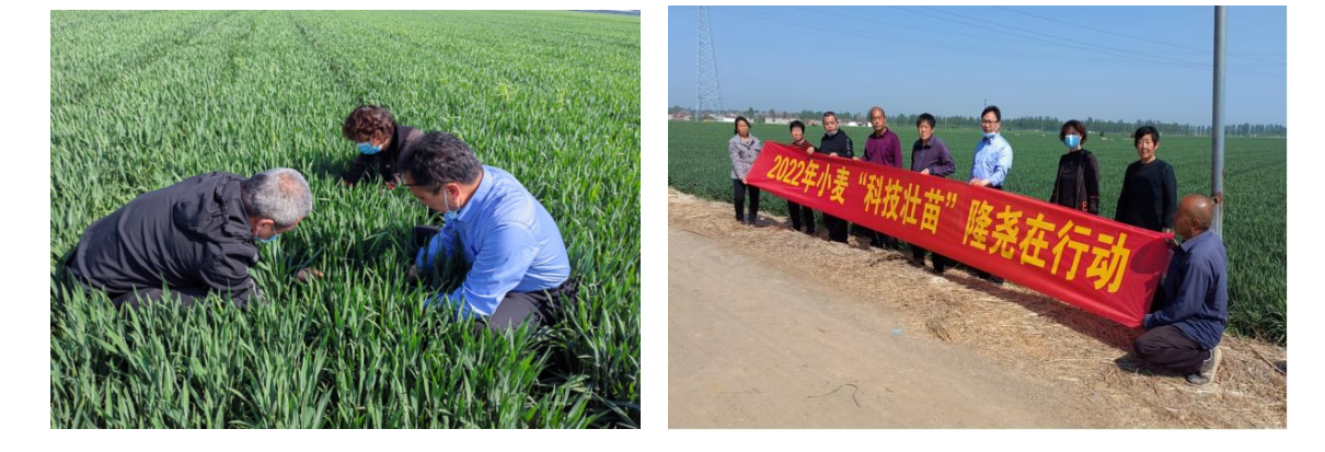 Snipaste_2022-05-19_08-58-15.png Snipaste_2022-05-19_08-58-15.png