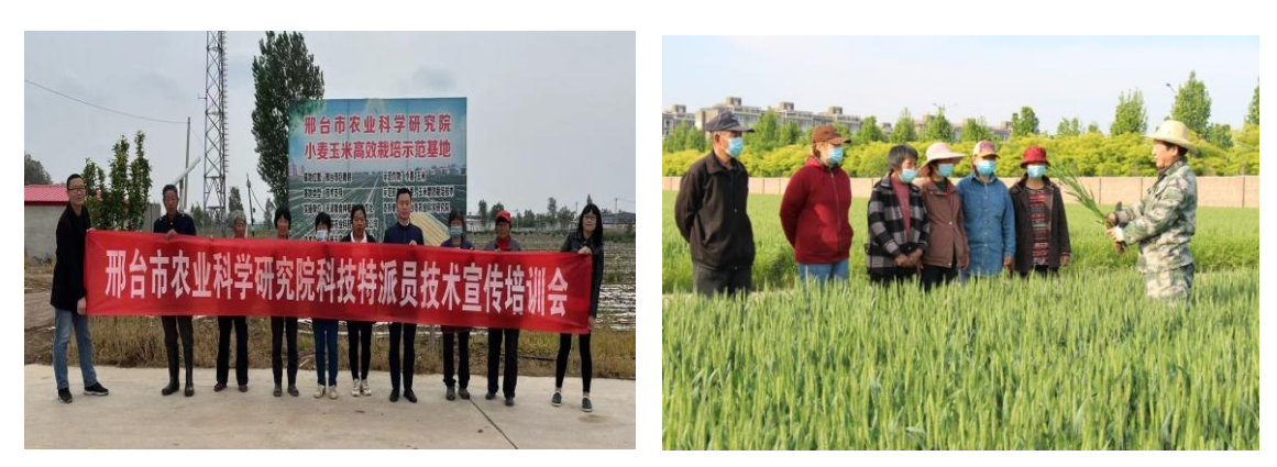 Snipaste_2022-05-19_08-57-55.png Snipaste_2022-05-19_08-57-55.png