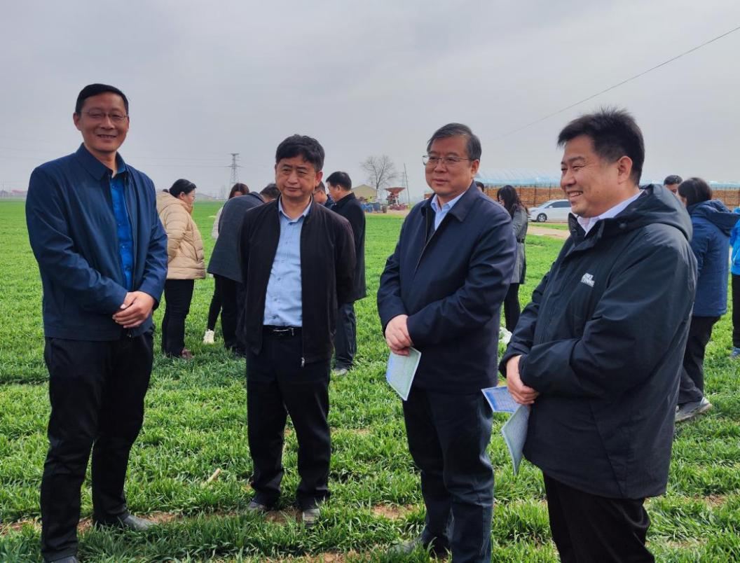 图片3.png 图片3.png