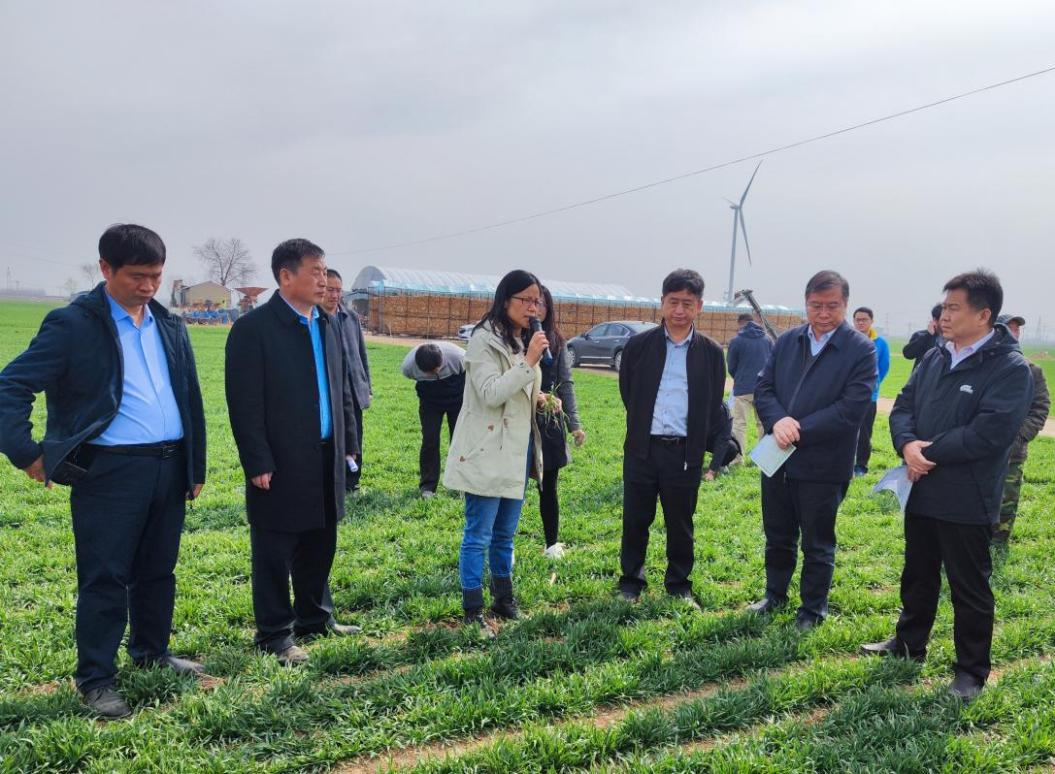 图片4.png 图片4.png