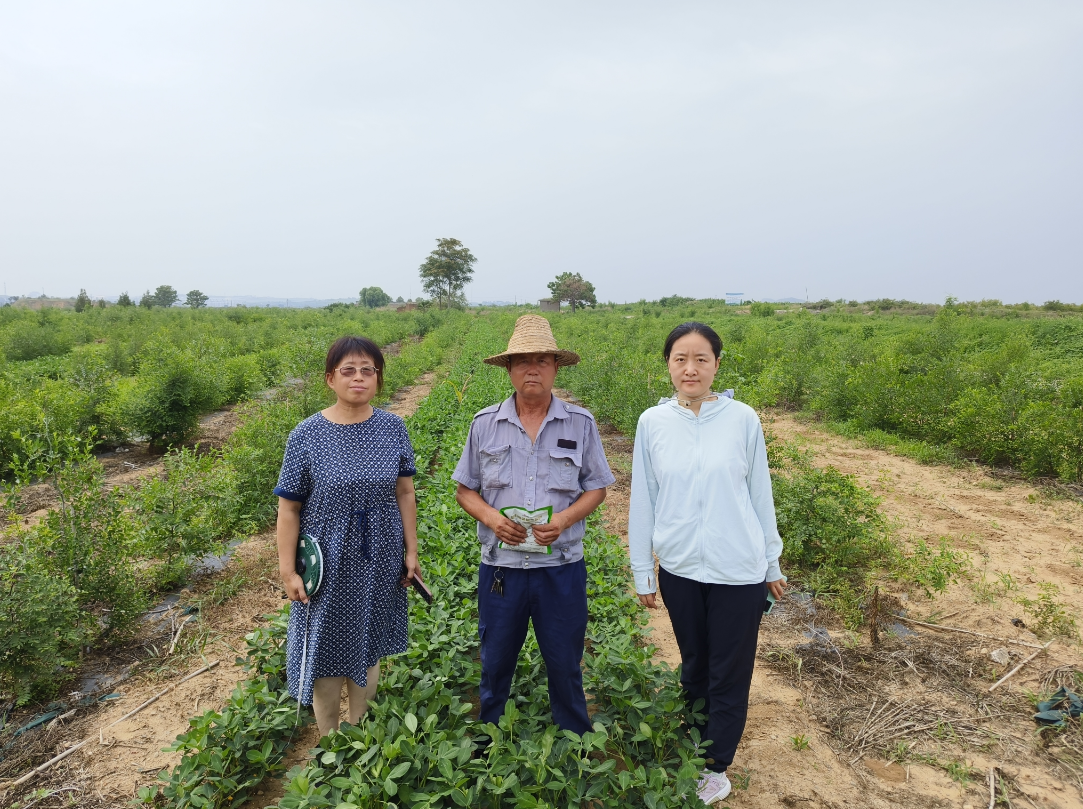 微信图片_20240731113300.png 微信图片_20240731113300.png