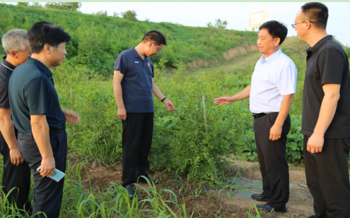 微信图片_20240805085034.png 微信图片_20240805085034.png