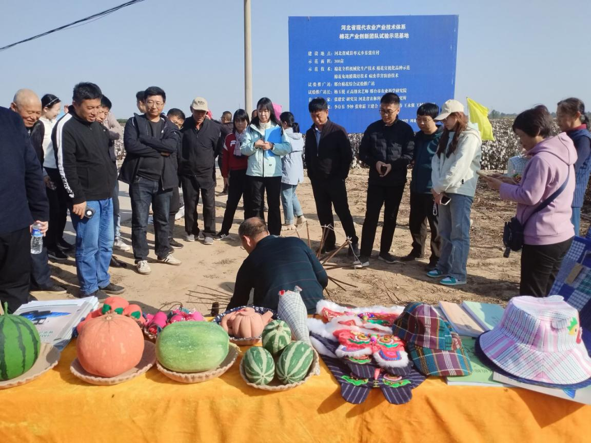 图片4.png 图片4.png