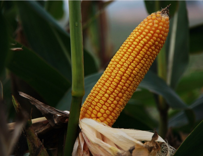 微信图片_20241220163751.png 微信图片_20241220163751.png