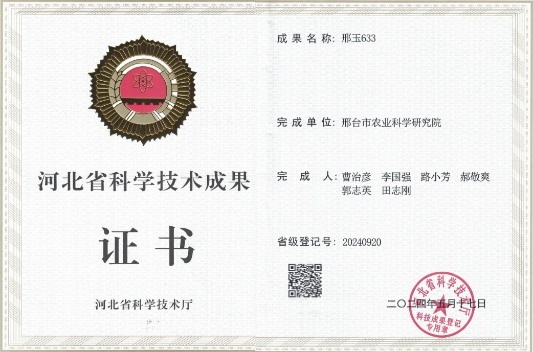 邢玉633 通过河北省审定