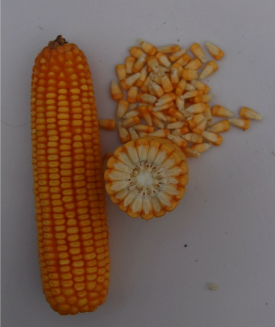 微信图片_20241220163756.png 微信图片_20241220163756.png