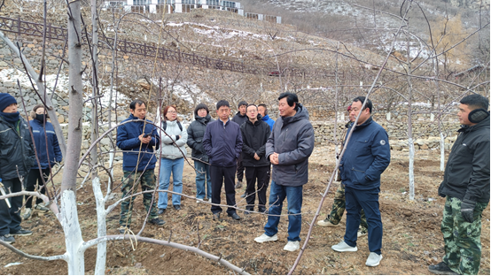 clipbord_1741310487605.png clipbord_1741310487605.png