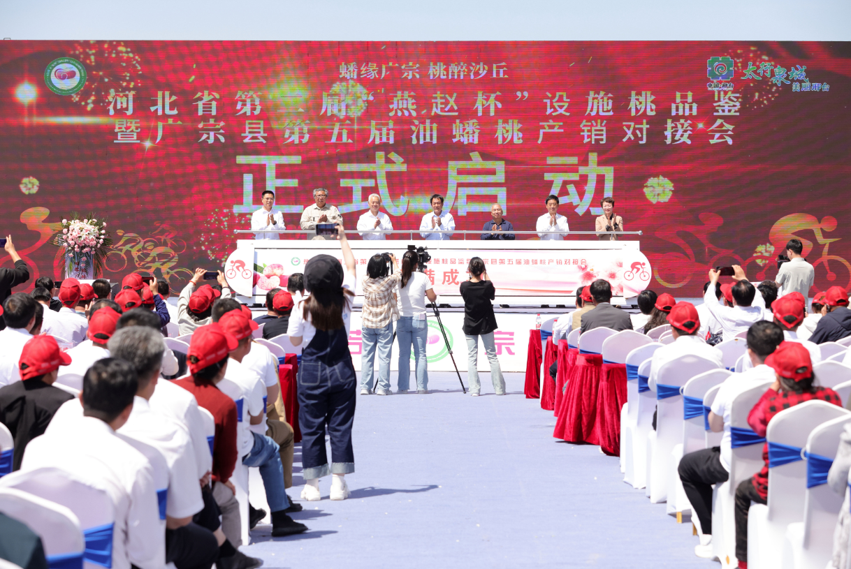 我院成功举办“燕赵杯”设施桃品鉴会