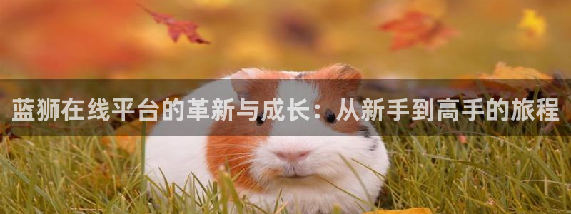 大满贯娱官网app下载入口