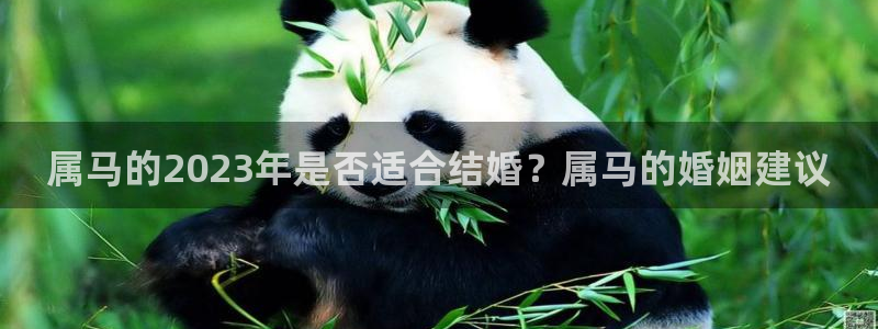 大满贯免费下载