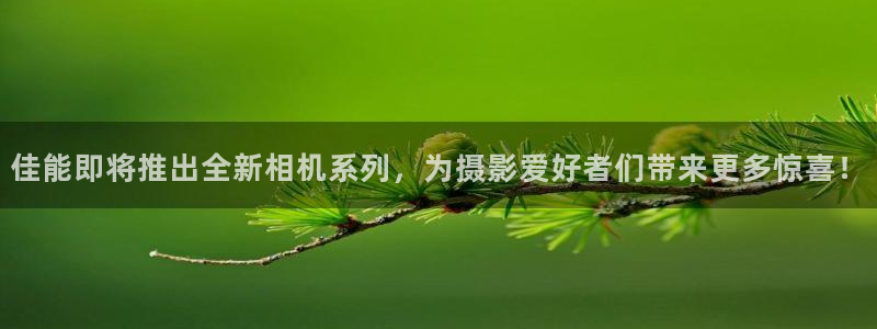大满贯下载