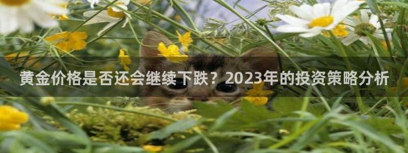 怀旧大满贯正版免费下载：黄金价格是否还会继续下跌？2023年的投资策略分析