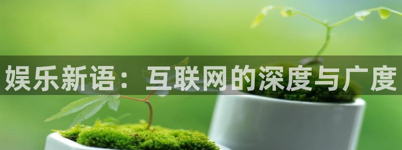 大满贯软件网站：娱乐新语：互联网的深度与广度