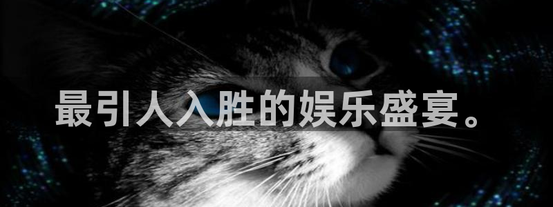大满贯游戏app官网版：最引人入胜的娱乐盛宴。