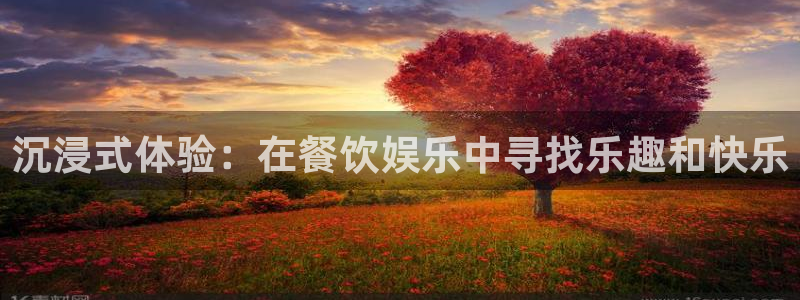 大满贯平台：沉浸式体验：在餐饮娱乐中寻找乐趣和快乐