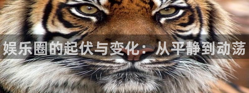 大满贯注册登录入口：娱乐圈的起伏与变化：从平静到动荡