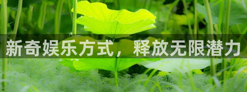 大满贯app登录入口官网：新奇娱乐方式，释放无限潜力