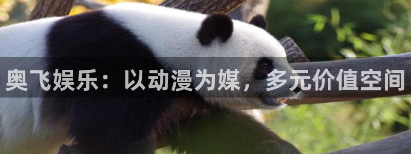 大满贯官网