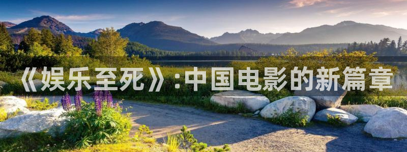 大满贯app官方版：《娱乐至死》:中国电影的新篇章
