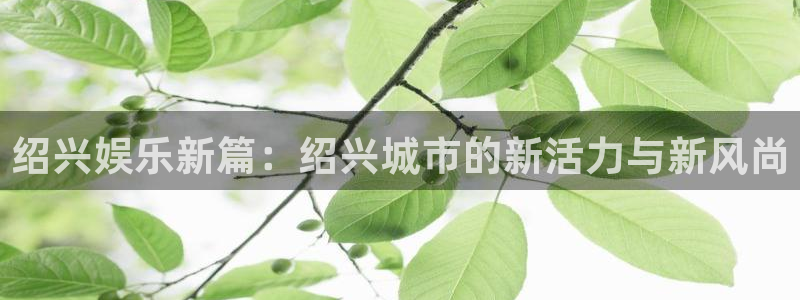 大满贯官网登录入口：绍兴娱乐新篇：绍兴城市的新活力与新风尚