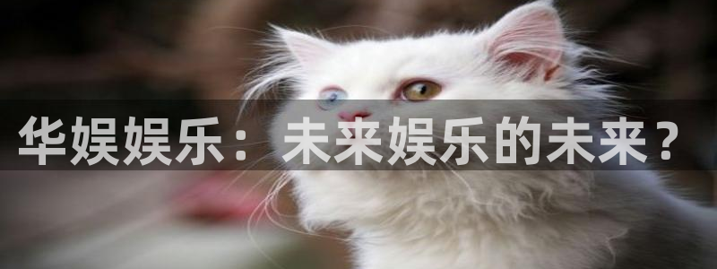 大满贯游戏app官网版：华娱娱乐：未来娱乐的未来？