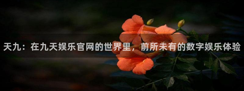 大满贯官网网站：天九：在九天娱乐官网的世界里，前所未有的数字娱乐体验