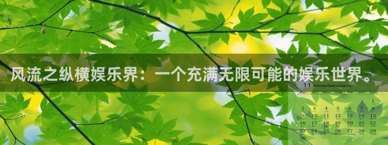 大满贯免费下载：风流之纵横娱乐界：一个充满无限可能的娱乐世界。