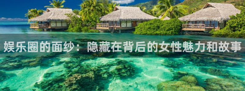大满贯软件下载