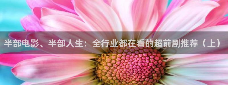 大满贯国际app登录入口官网：半部电影、半部人生：全行业都在看的超前剧推荐（上）