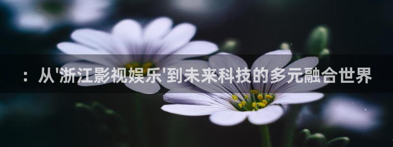 大满贯的网址多少：：从\'浙江影视娱乐\'到未来科技的多元融合世界