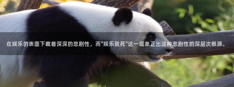 大满贯手机app下载：在娱乐的表面下藏着深深的悲剧性，而\