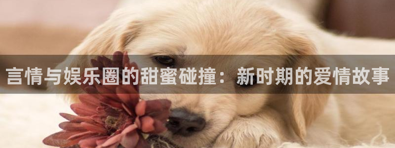 大满贯网址：言情与娱乐圈的甜蜜碰撞：新时期的爱情故事