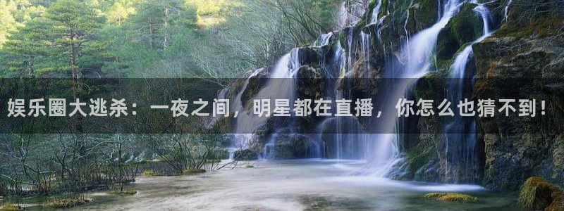 大满贯平台：娱乐圈大逃杀：一夜之间，明星都在直播，你怎么也猜不到！