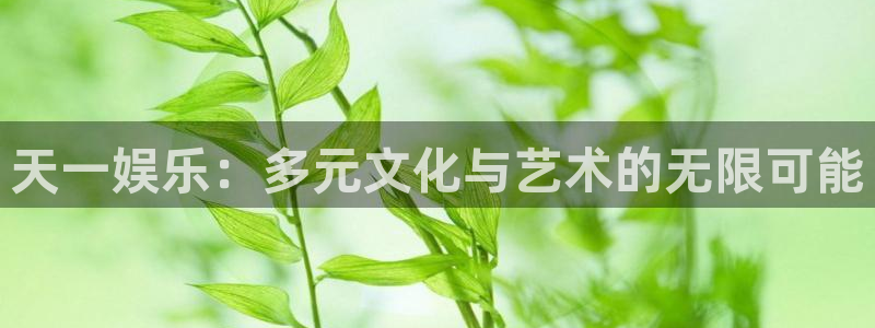 大满贯app官方版下载：天一娱乐：多元文化与艺术的无限可能