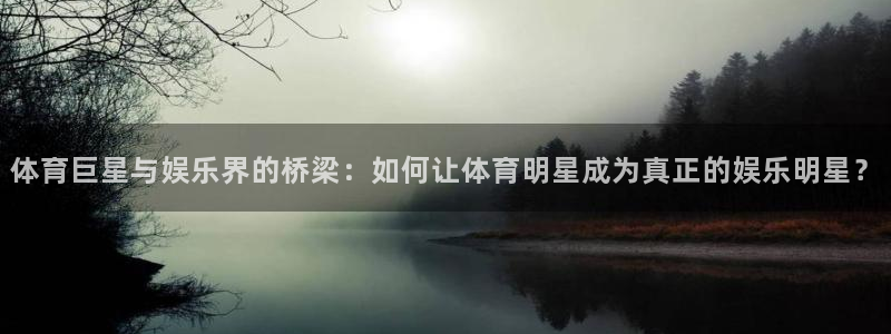 超级大满贯2官网下载：体育巨星与娱乐界的桥梁：如何让体育明星成为真正的娱乐明星？