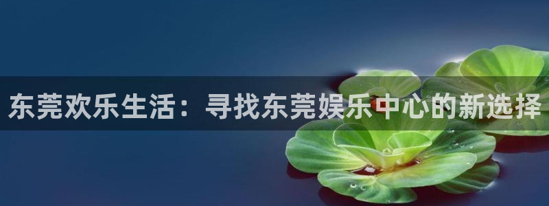 大满贯app：东莞欢乐生活：寻找东莞娱乐中心的新选择