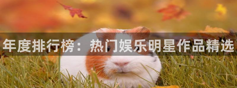 大满贯棋牌官网下载：年度排行榜：热门娱乐明星作品精选