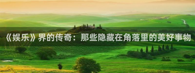 超级大满贯2下载：《娱乐》界的传奇：那些隐藏在角落里的美好事物