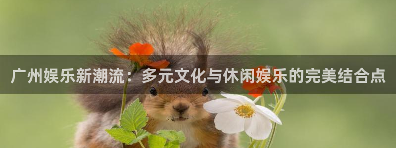 大满贯官网：广州娱乐新潮流：多元文化与休闲娱乐的完美结合点