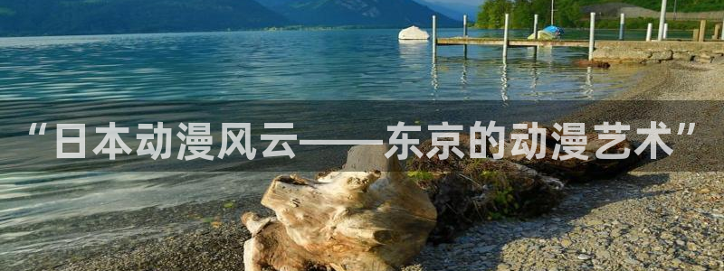 大满贯app官方版：“日本动漫风云——东京的动漫艺术”