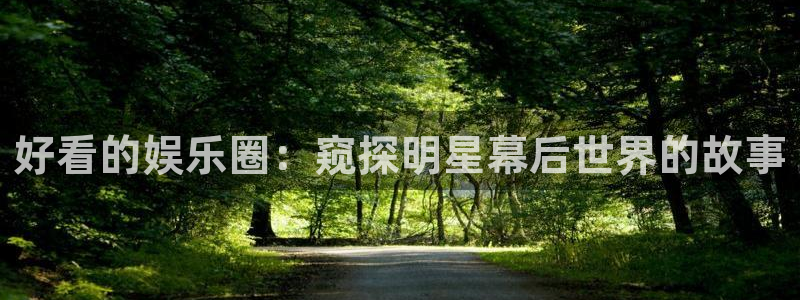 大满贯官网下载：好看的娱乐圈：窥探明星幕后世界的故事