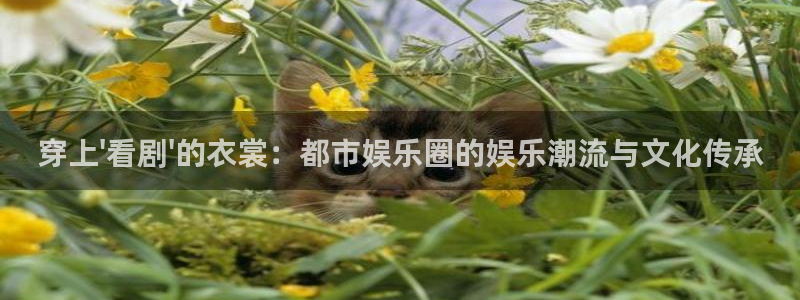 大满贯app官方版下载安装：穿上\'看剧\'的衣裳：都市娱乐圈的娱乐潮流与文化传承